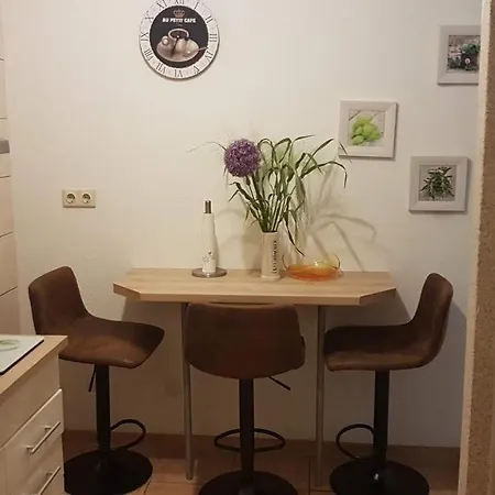 Appartement Im Gruenen Mit Anbindung Ans Zentrum Erfurt